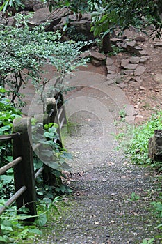 Stairs of Tirathgarh Waterfall ,Cool and Vibrant