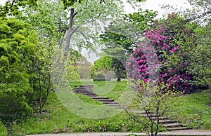 Stairs to a bench in lush english garden