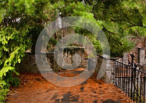 Stairs to a garden