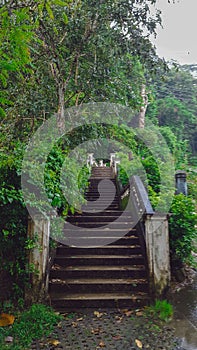 Stairs To The Kathu Waterfall In Beautiful Rain Forest