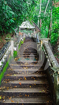 Stairs To The Kathu Waterfall In Beautiful Rain Forest