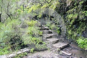 Stairs to Levada das 25 fontes, touristic hiking trail, Rabacal, Madeira island, Portugal