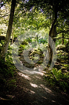 Stairs to the light