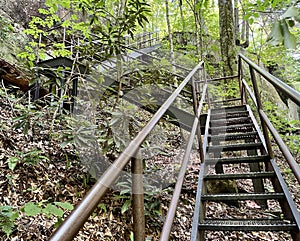The stairs on the trail to Yahoo Falls