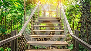 Stairs in the tropical forest