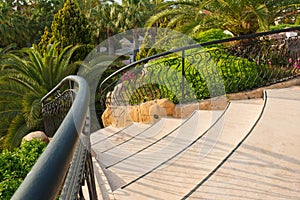 Stairs into the tropical garden with palms and other plants