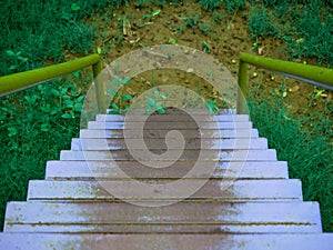 Stairs up to down shot at green grass garden