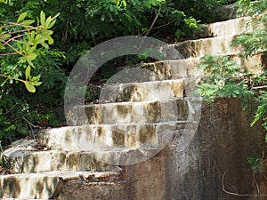 Stairs With Vegetation In Cuba