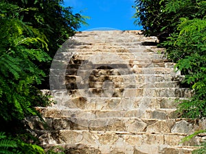 Stairs With Vegetation In Cuba