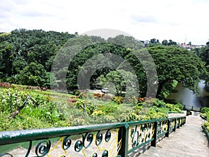 Stairs and vegetation in Eco Park Manila Philippines