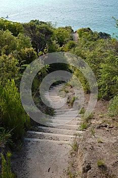 Path with stair in New Zealand