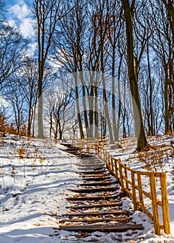 Stairs in winter