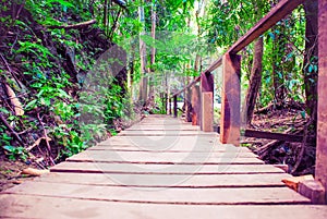 Stairs in the woods at Kanchanaburi , thailand