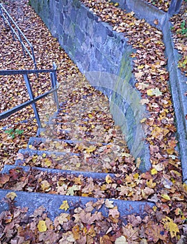 Stairs and yellowish autumn leaves