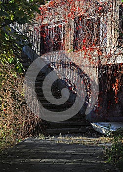 Stairsteps and Shadows