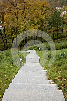 Stairsteps to forest