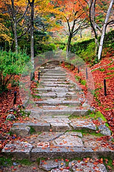 Stairway in autumn, Jojakkoji temple, Arashiyama, Kyoto, Japan