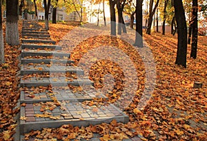 Stairway in autumn park strewn with fallen maple leaves.