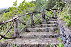 Stairway, cement walkway with beautiful green trees, nature in the tropical forests