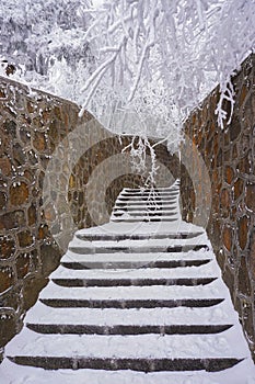 The stairway covered by snow and was braced by rock wall ,among with trees covered by snow photo