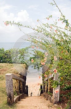 Stairway entry to sandy beach flowers Caribbean Sea Little Corn