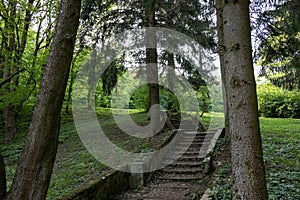 Stairway in the forest in a suburban recreational and relaxing location in the Bratislava Forest Park
