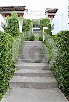 Stairway in hotel resort