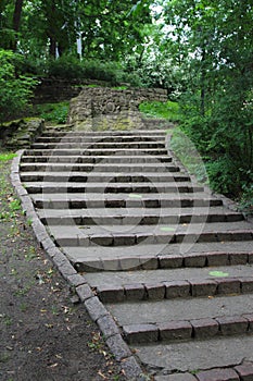 Stairway in park