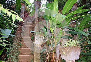 Stairway at Paronella Park