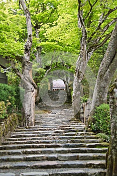 The stairway and shrine gate of Jakkou-In temple.