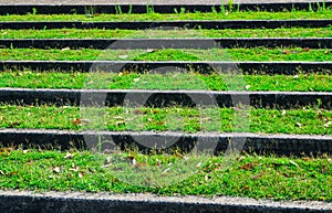 Stairway steps pattern with greengrass in close up at a garden.