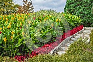 Stairway in a summer garden. Staircase lined with flowers and plants in public park. Stone path with flowers