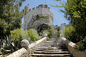 Stairway to the castle