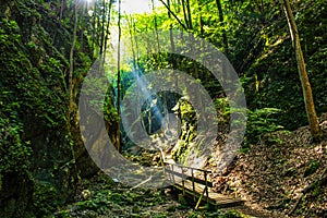 stairway to the cliffs in the woods