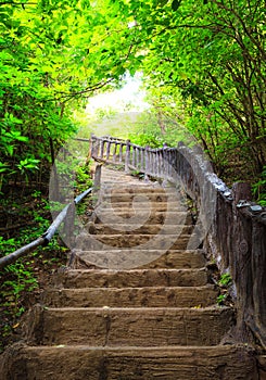 Stairway to forest, Erawan national park, Kanchanbur, Thailand