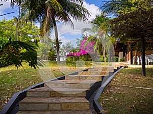 Stairway to garden