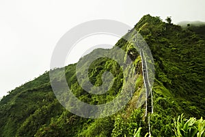 Stairway to heaven hike in Oahu, Hawai`i