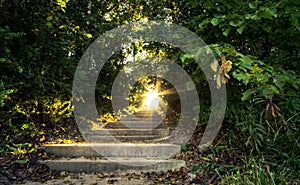 Stairway To Heaven Nature Landscape