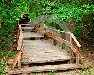 Stairway to mountains forest