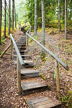 Stairway to mountains forest, nature trail in reserve