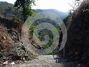 A Stairway to Paradise: Descending into a Lush Green Valley