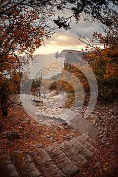 Stairway to the sea among the autumn trees