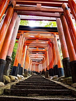 Stairway through Tori gates at Fushimi Inari shrine