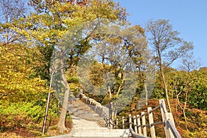 Stairway up the hill