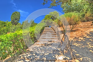 Stairway in the wood under a blue sky