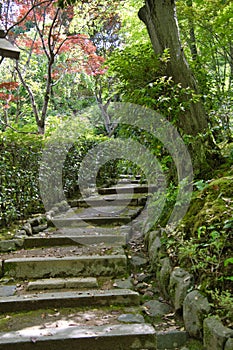 The stairways of Jojakko-ji temple.