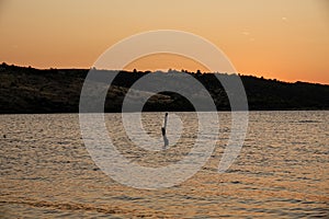 a stake in the ocean at sunset