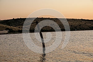 a stake in the ocean at sunset