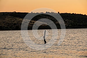 a stake in the ocean at sunset