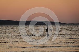 a stake in the ocean at sunset